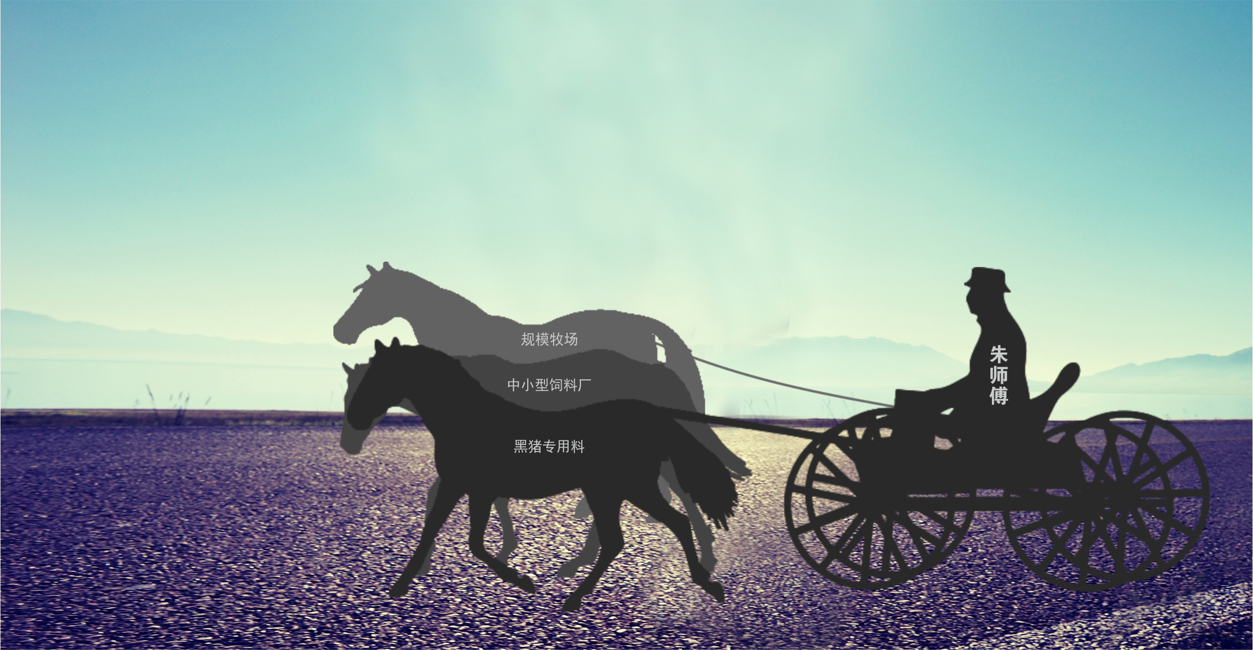 home-images-1