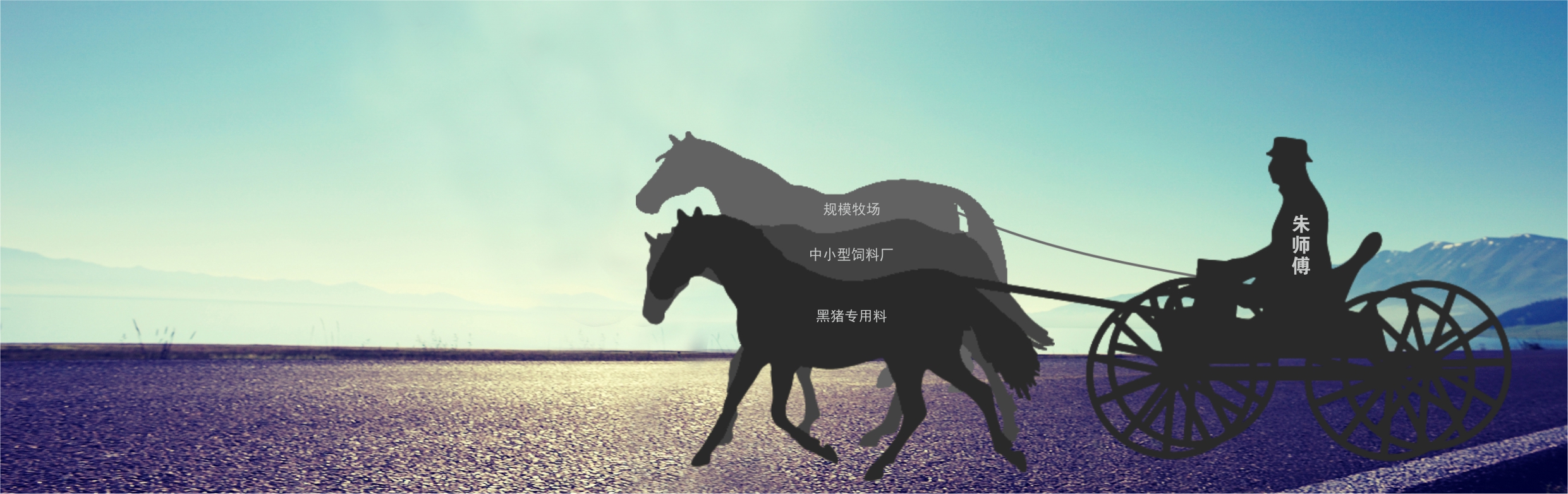home-images-1